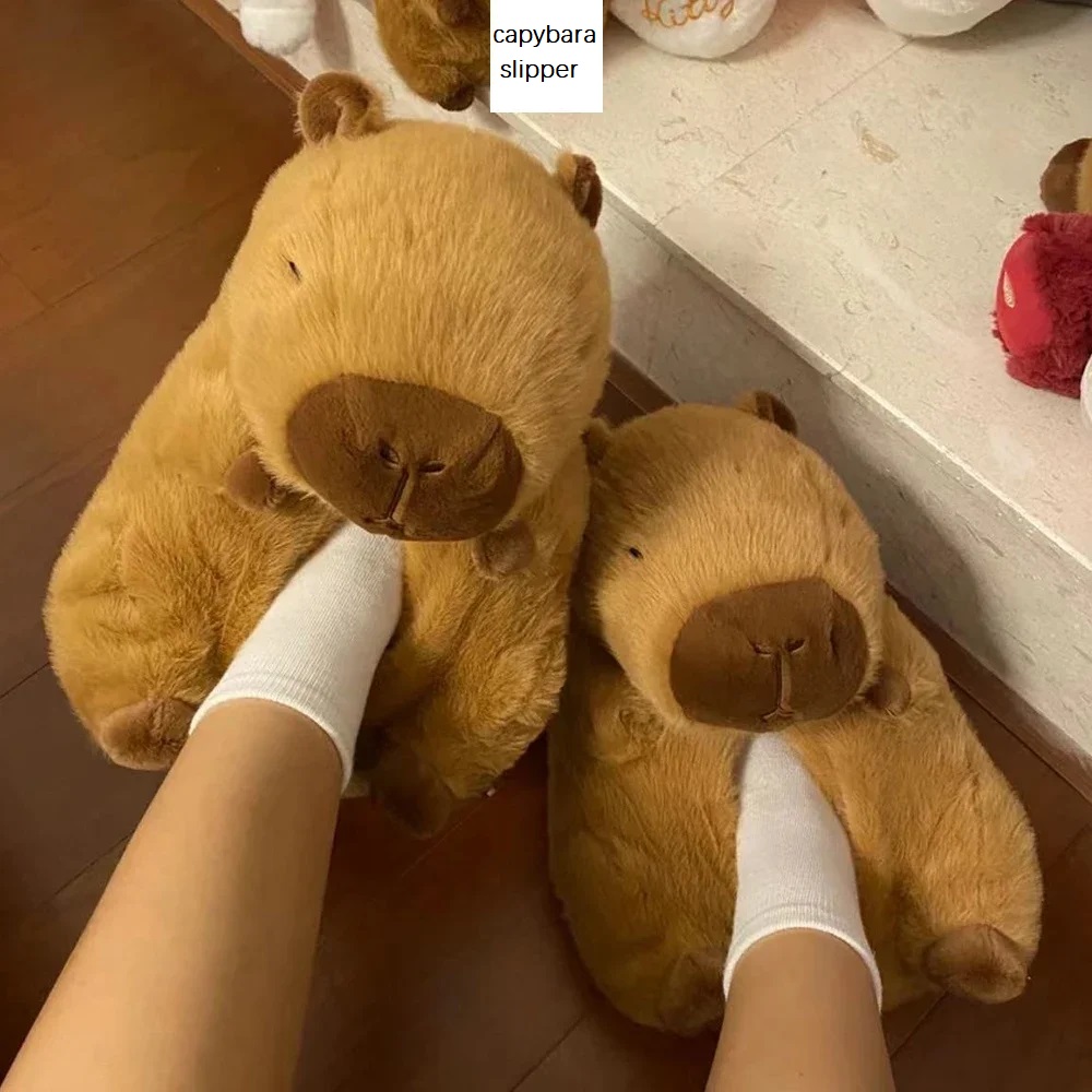Neuheit Capybara Hausschuhe Un – Women Shoes For Winter Bewertung und Preis