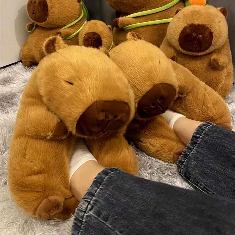 Neuheit Capybara Hausschuhe Un – Women Shoes For Winter Bewertung und Preis